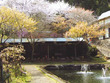 大山フィッシングセンター 大山フィッシングセンター